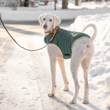 Knotty Pets Reversible Puffy Dog Jacket, Emerald and Mint