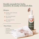 Dandylion Clean Paws No-Rinse Foaming Cleanser - 150 ml