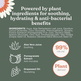 Dandylion Clean Paws No-Rinse Foaming Cleanser - 150 ml