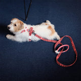 Charlie's Backyard Trip Harness - Berry