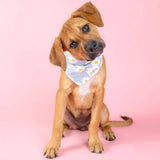 The Paws Blue Daisy Chains Dog Bandana