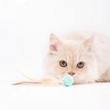 Pidan Cat Trio Bouncy Ball Set