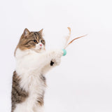 Pidan Cat Trio Bouncy Ball Set