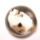 Cozy Cat Scratcher Bowl