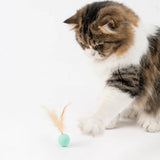 Pidan Cat Trio Bouncy Ball Set