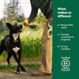 Earth Rated Natural Rubber Treat Toy