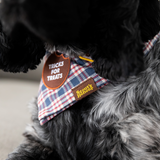 Scout's Honour Tricks for Treats Iron-on Patch For Dogs