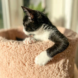 Bloire Sherpa Cat Bed