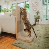 Premium Comfort Scatcher Wall