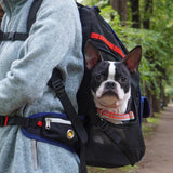 iCandor Jige Backpack Pet Carrier - Dynamic Black
