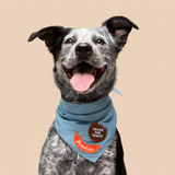 Scout's Honour Foodie Iron-on Patch for Dogs