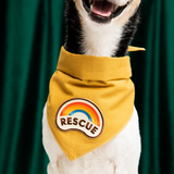 Scout's Honour Rescue Iron-on Patch For Dogs