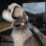 Charlie's Backyard Town Basic Collar - Black