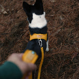 Charlie's Backyard Town Cordura Harness - Yellow
