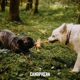 Canophera Coffee Wood and Coconut Rope Dog Chew