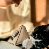 Bloire Tea Time Cat Toy