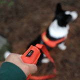 Charlie's Backyard Town Cordura Leash - Orange