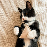 Bloire Tea Time Cat Toy