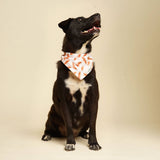 The Paws Sizzle Hotdog Dog Bandana