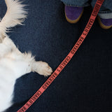 Charlie's Backyard Trip Leash - Berry