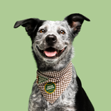 Scout's Honour Fetch Fanatic Iron- on Patch for Dogs