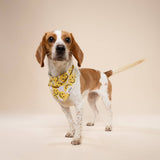 The Paws Smile Dog Bandana