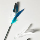 Pidan Pet Teaser Feather Refills for Cats