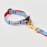 iCandor Gentle Collar - Surfrider