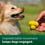 Earth Rated Fetch Toy Natural Rubber