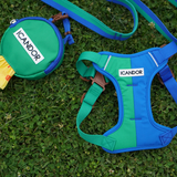 iCandor Snuggle Harness - Forest