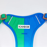 iCandor Snuggle Harness - Forest