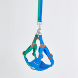 iCandor Snuggle Harness - Forest