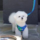 iCandor Snuggle Harness - Forest