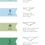 The Paws Rudolph Dog Bandana