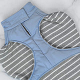 Django Whistler Winter Dog Coat (For Short-legged Breeds)