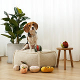 Lambwolf Collective Grapefruit Enrichment Dog Toy