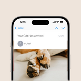 Phone screen showing an email with a picture of dog paws and text 'Your Gift Has Arrived' on a beige background