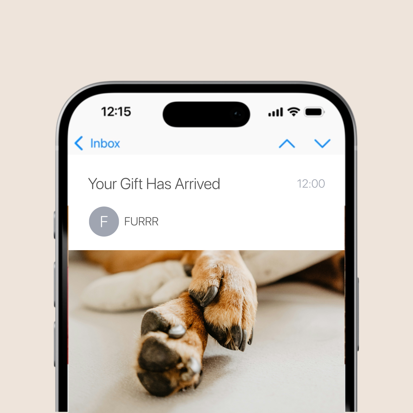 Phone screen showing an email with a picture of dog paws and text 'Your Gift Has Arrived' on a beige background