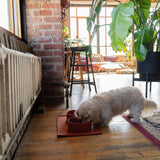 ADC Houndstone & Co. Silicone Pet Food Mat - Blue