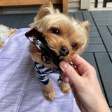 Wag & Bright Might Marrows Collagen Dental Chews in Beef Liver Flavor