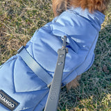 Django Whistler Winter Dog Coat (For Short-legged Breeds)