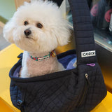 iCandor Dumpling Bag - Midnight Navy