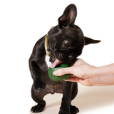 Woof The Pupsicle DIY Treat Tray