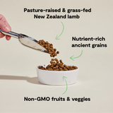 Open Farm Pasture-Raised Lamb & Ancient Grains Dog Kibble
