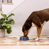 Open Farm Grass-Fed Beef & Ancient Grain Dog Dry Food All Life Stages