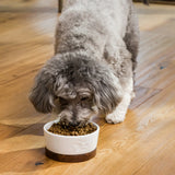 Open Farm Pasture-Raised Lamb Grain Free Dry Dog Food