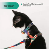 Pidan Cat Harness and Leash Set - Multicolor