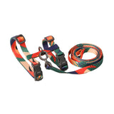 Pidan Cat Harness and Leash Set - Multicolor