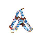 iCandor No Pull Harness - Surfrider