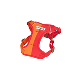 iCandor Snuggle Harness - Sunrise